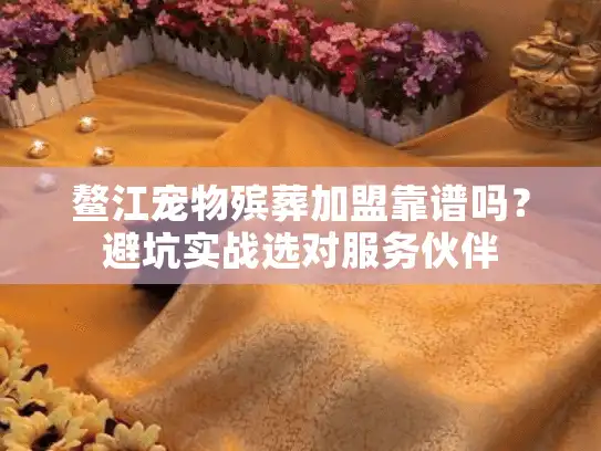 鳌江宠物殡葬加盟靠谱吗？避坑实战选对服务伙伴