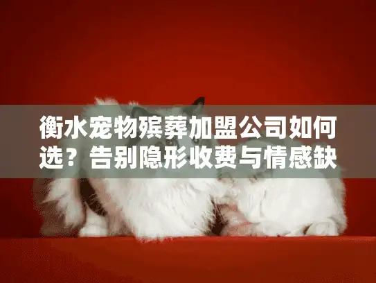 衡水宠物殡葬加盟公司如何选？告别隐形收费与情感缺失困扰