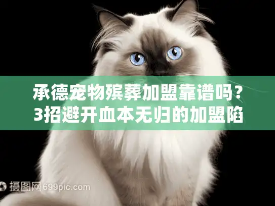 承德宠物殡葬加盟靠谱吗？3招避开血本无归的加盟陷阱