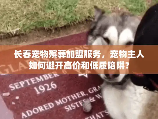 长春宠物殡葬加盟服务，宠物主人如何避开高价和低质陷阱？