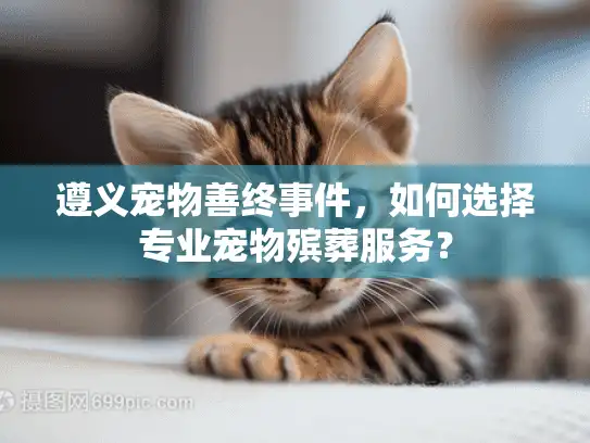 遵义宠物善终事件，如何选择专业宠物殡葬服务？