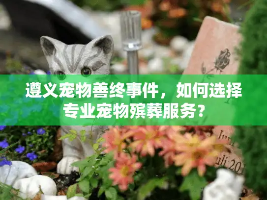 遵义宠物善终事件，如何选择专业宠物殡葬服务？