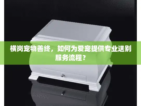 横岗宠物善终，如何为爱宠提供专业送别服务流程？