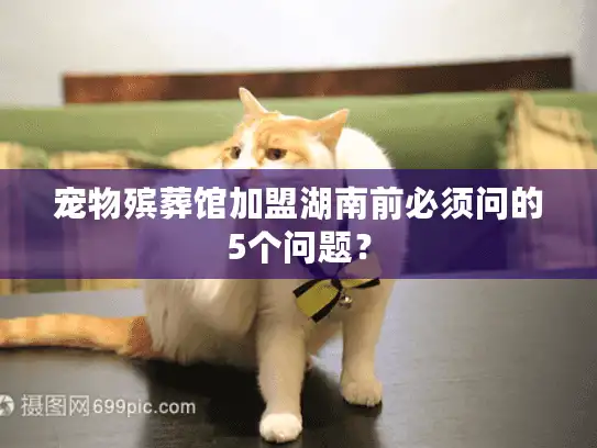 宠物殡葬馆加盟湖南前必须问的5个问题？