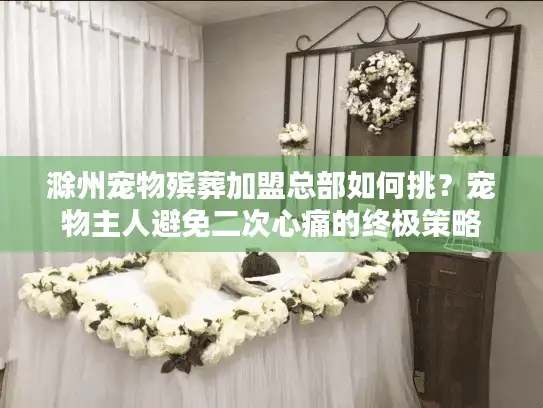 滁州宠物殡葬加盟总部如何挑？宠物主人避免二次心痛的终极策略