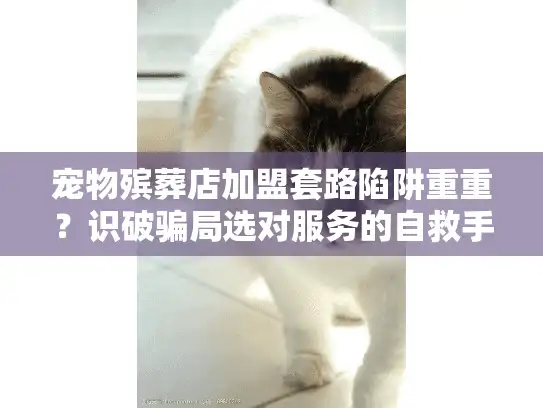 宠物殡葬店加盟套路陷阱重重？识破骗局选对服务的自救手册