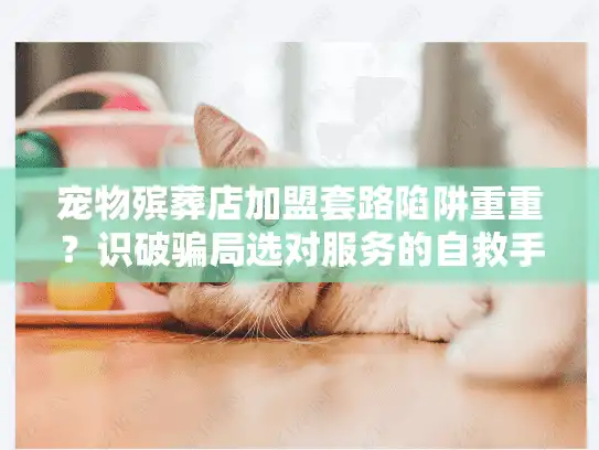 宠物殡葬店加盟套路陷阱重重？识破骗局选对服务的自救手册