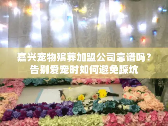 嘉兴宠物殡葬加盟公司靠谱吗？告别爱宠时如何避免踩坑
