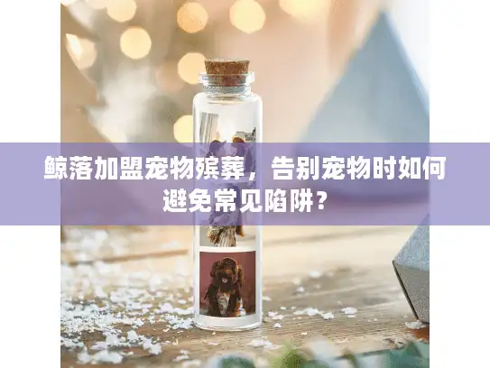 鲸落加盟宠物殡葬，告别宠物时如何避免常见陷阱？