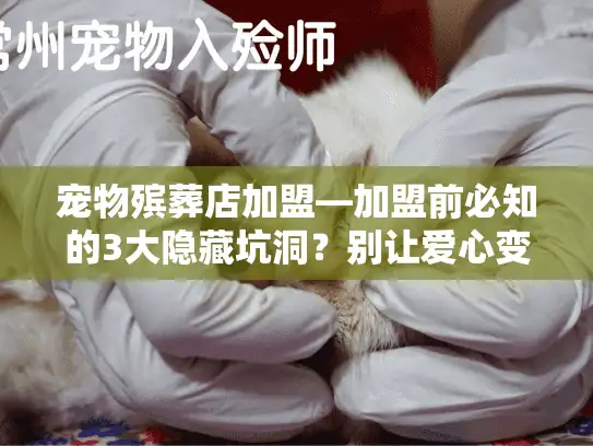 宠物殡葬店加盟—加盟前必知的3大隐藏坑洞？别让爱心变亏损！