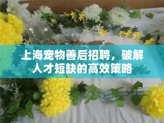 上海宠物善后招聘，破解人才短缺的高效策略