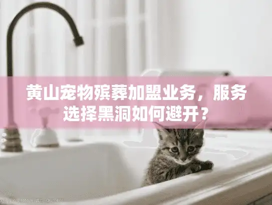黄山宠物殡葬加盟业务，服务选择黑洞如何避开？