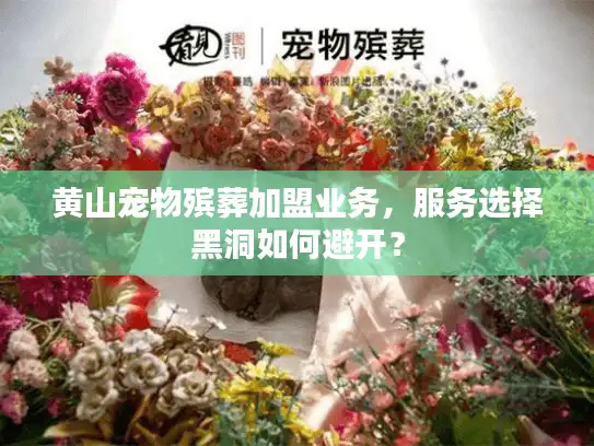 黄山宠物殡葬加盟业务，服务选择黑洞如何避开？