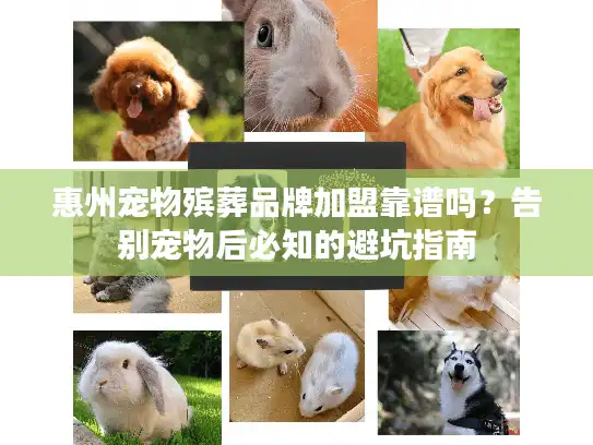 惠州宠物殡葬品牌加盟靠谱吗？告别宠物后必知的避坑指南