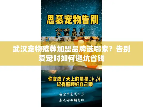 武汉宠物殡葬加盟品牌选哪家？告别爱宠时如何避坑省钱