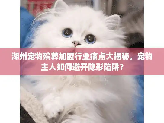 湖州宠物殡葬加盟行业痛点大揭秘，宠物主人如何避开隐形陷阱？