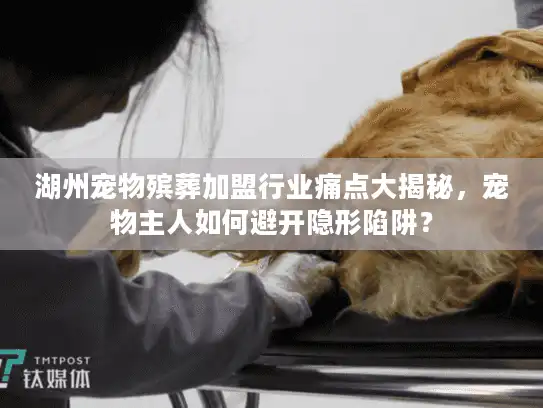 湖州宠物殡葬加盟行业痛点大揭秘，宠物主人如何避开隐形陷阱？