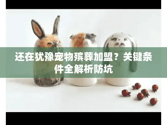 还在犹豫宠物殡葬加盟？关键条件全解析防坑