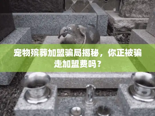 宠物殡葬加盟骗局揭秘，你正被骗走加盟费吗？