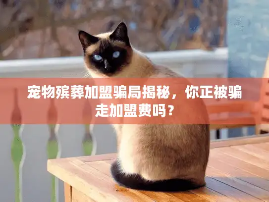 宠物殡葬加盟骗局揭秘，你正被骗走加盟费吗？