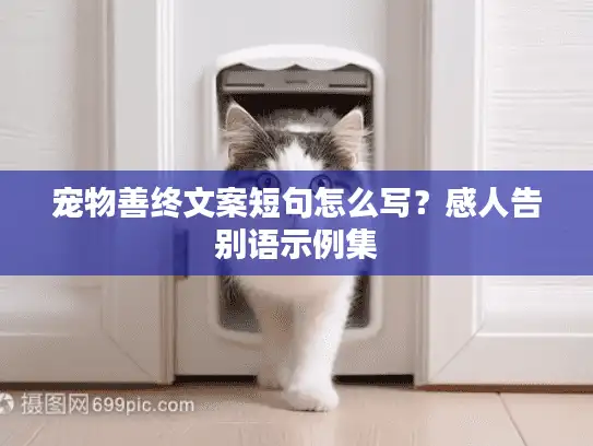 宠物善终文案短句怎么写？感人告别语示例集