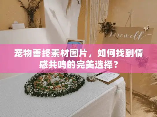 宠物善终素材图片，如何找到情感共鸣的完美选择？