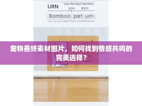 宠物善终素材图片，如何找到情感共鸣的完美选择？