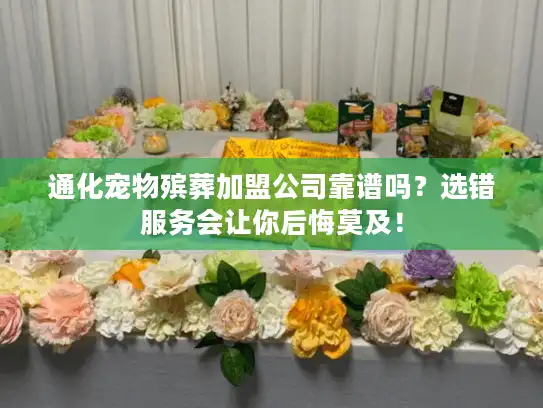 通化宠物殡葬加盟公司靠谱吗？选错服务会让你后悔莫及！