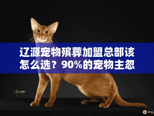 辽源宠物殡葬加盟总部该怎么选？90%的宠物主忽略这3个致命问题