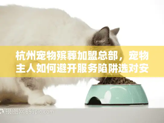 杭州宠物殡葬加盟总部，宠物主人如何避开服务陷阱选对安心告别？