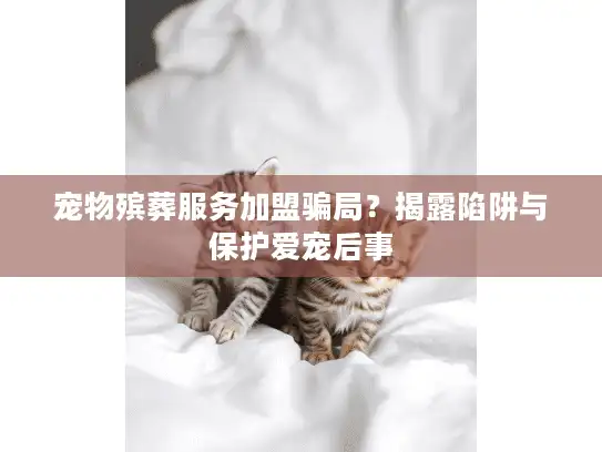 宠物殡葬服务加盟骗局？揭露陷阱与保护爱宠后事