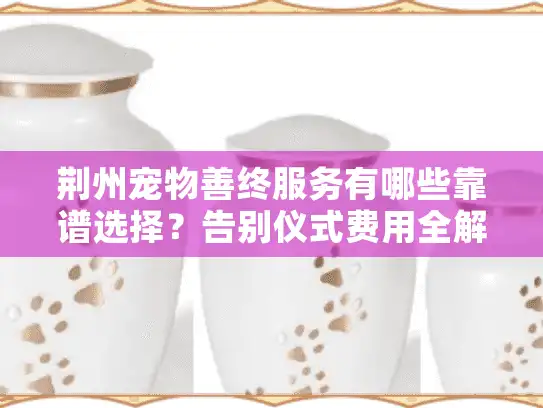 荆州宠物善终服务有哪些靠谱选择？告别仪式费用全解析