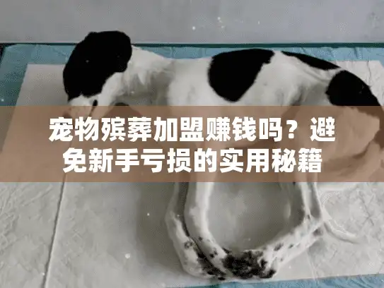 宠物殡葬加盟赚钱吗？避免新手亏损的实用秘籍
