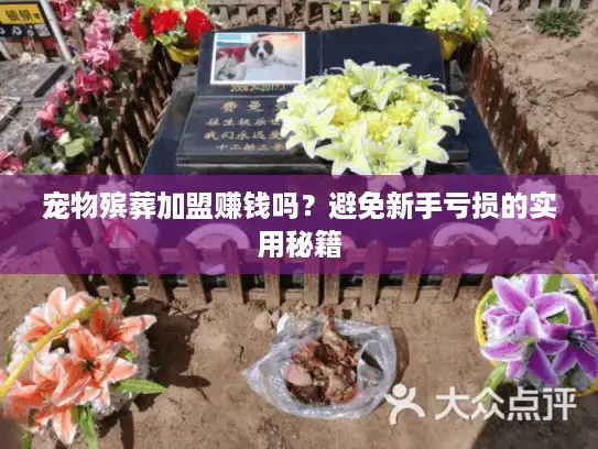 宠物殡葬加盟赚钱吗？避免新手亏损的实用秘籍