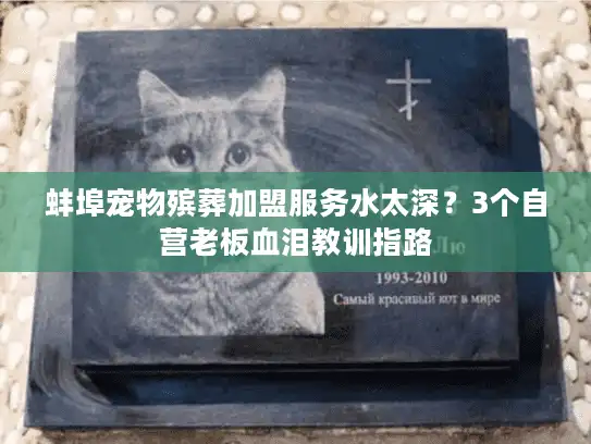 蚌埠宠物殡葬加盟服务水太深？3个自营老板血泪教训指路