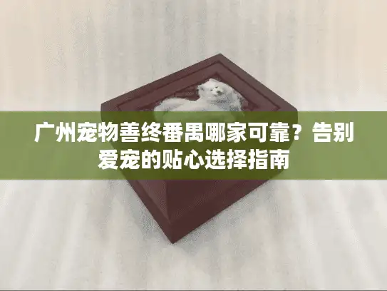 广州宠物善终番禺哪家可靠？告别爱宠的贴心选择指南