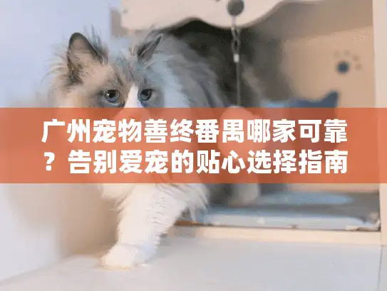 广州宠物善终番禺哪家可靠？告别爱宠的贴心选择指南