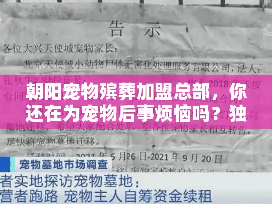 朝阳宠物殡葬加盟总部，你还在为宠物后事烦恼吗？独家揭秘高效方案
