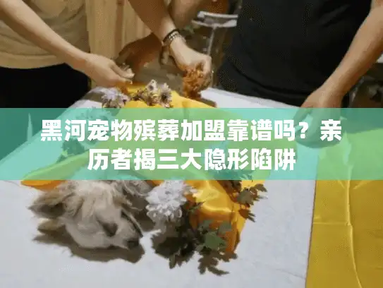 黑河宠物殡葬加盟靠谱吗？亲历者揭三大隐形陷阱