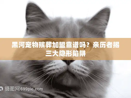 黑河宠物殡葬加盟靠谱吗？亲历者揭三大隐形陷阱