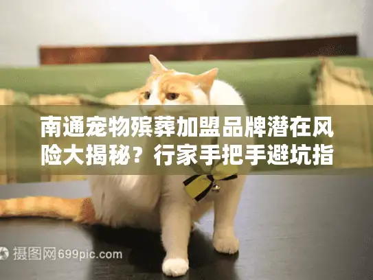 南通宠物殡葬加盟品牌潜在风险大揭秘？行家手把手避坑指南