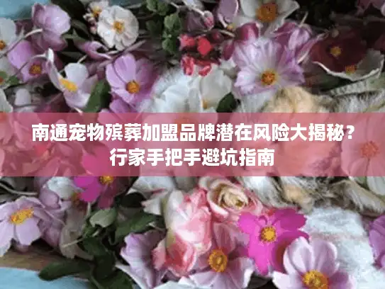南通宠物殡葬加盟品牌潜在风险大揭秘？行家手把手避坑指南