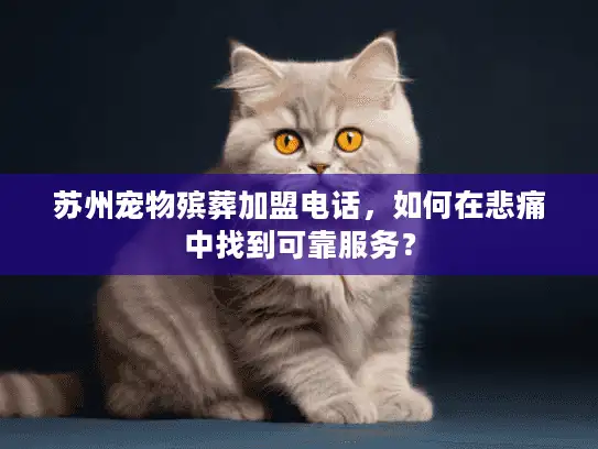 苏州宠物殡葬加盟电话，如何在悲痛中找到可靠服务？