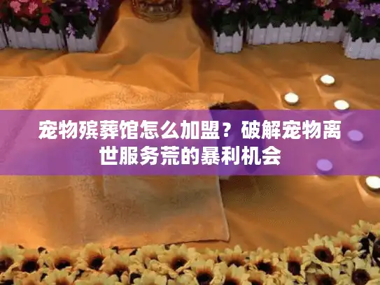 宠物殡葬馆怎么加盟？破解宠物离世服务荒的暴利机会
