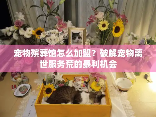 宠物殡葬馆怎么加盟？破解宠物离世服务荒的暴利机会