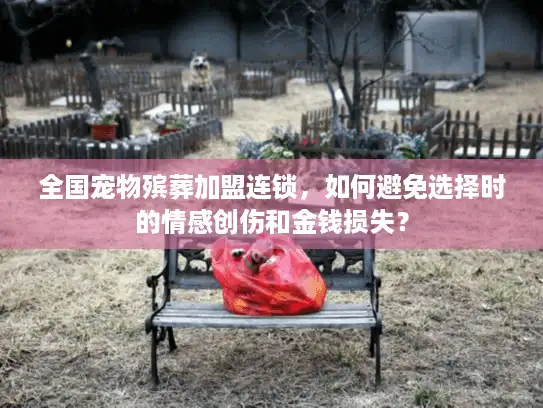 全国宠物殡葬加盟连锁，如何避免选择时的情感创伤和金钱损失？