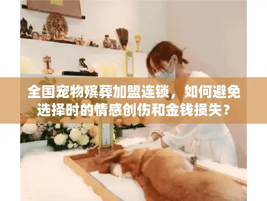 全国宠物殡葬加盟连锁，如何避免选择时的情感创伤和金钱损失？