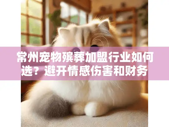常州宠物殡葬加盟行业如何选？避开情感伤害和财务陷阱的关键策略