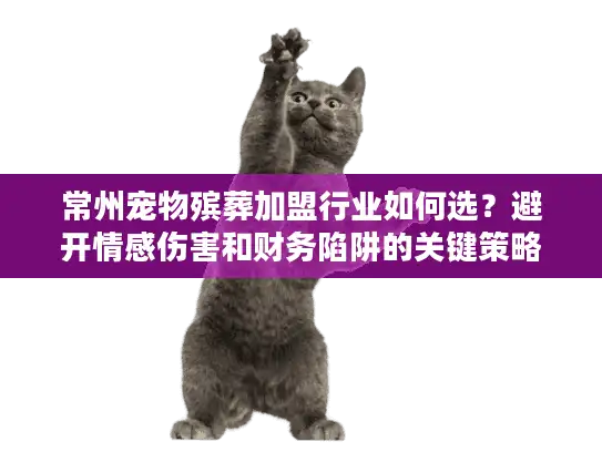 常州宠物殡葬加盟行业如何选？避开情感伤害和财务陷阱的关键策略