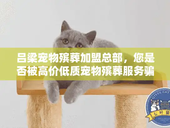 吕梁宠物殡葬加盟总部，您是否被高价低质宠物殡葬服务骗过眼泪？